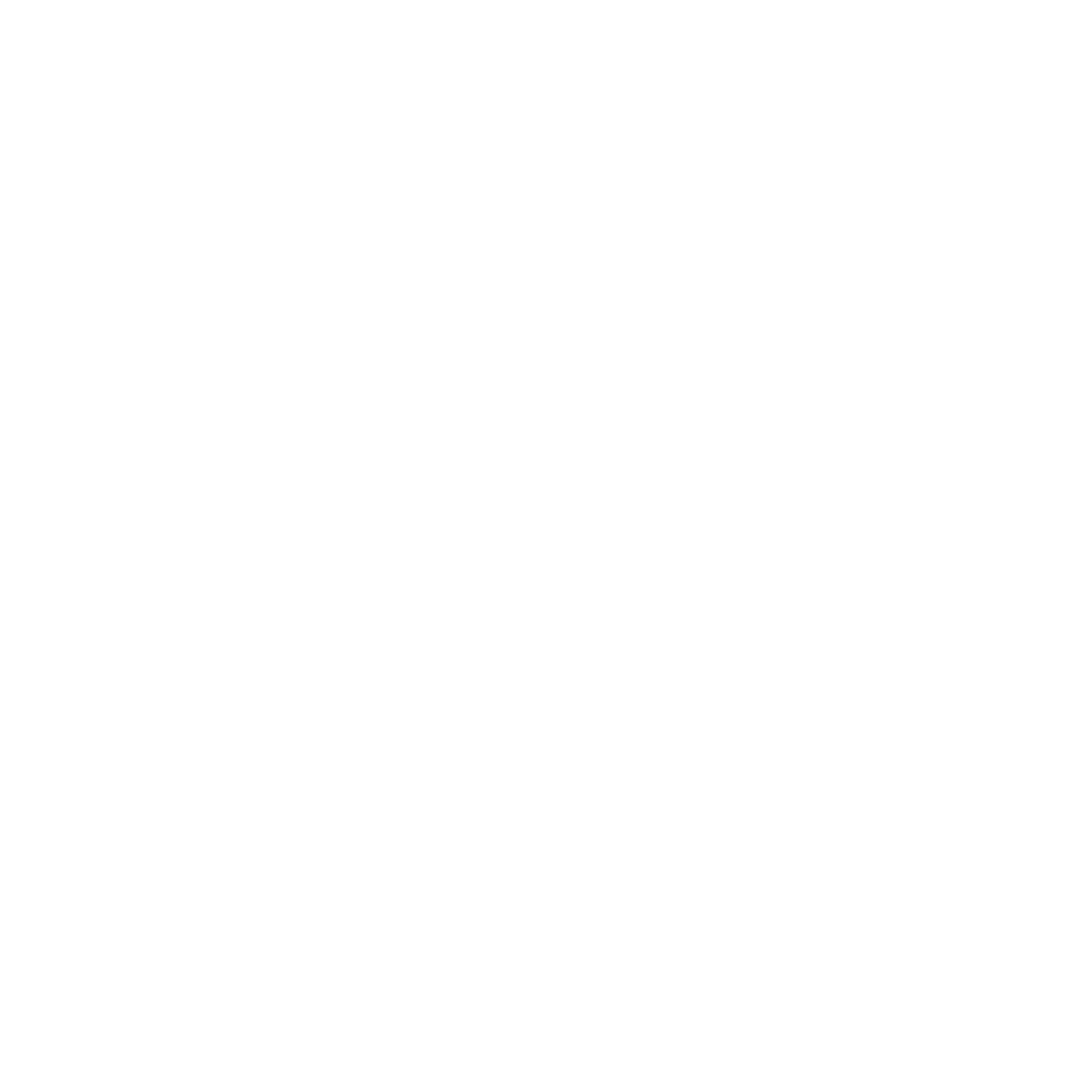 Icono de presencia en 11 paises