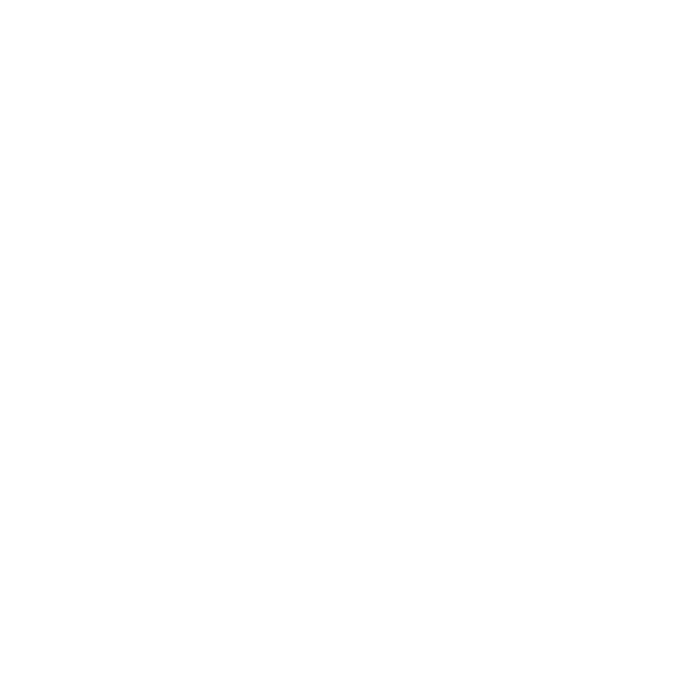 Icono de presencia en 11 paises