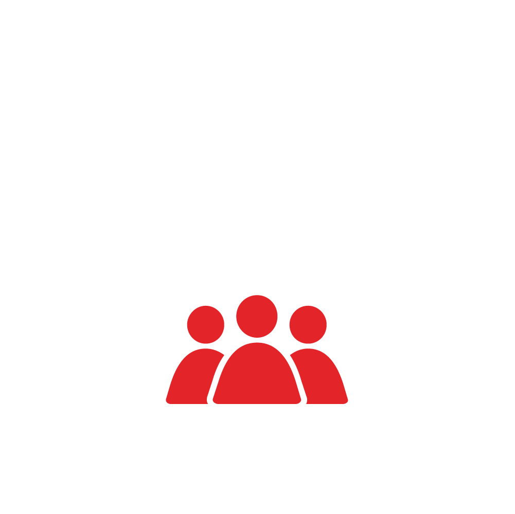 Icono de 300 ingenieros trabajando en sisap